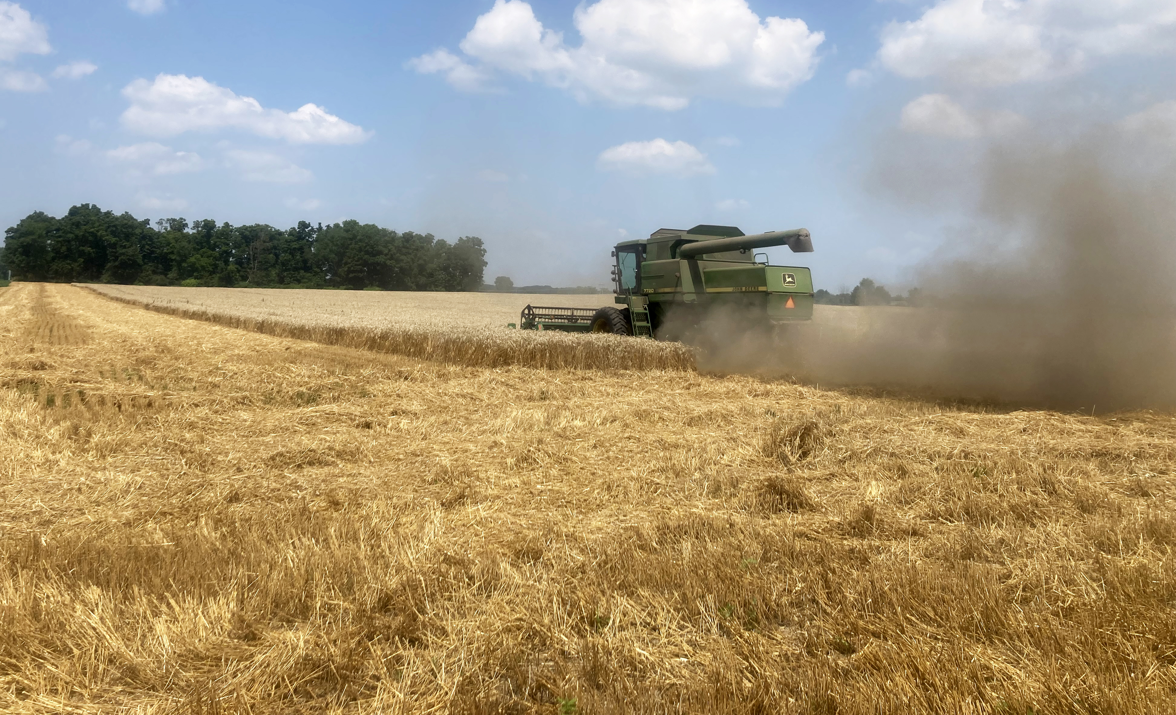 A combine harvester moves through a golden wheat field under a blue sky, kicking up dust as it harvests. The machine is on the right side of the frame, moving toward the trees lining the background.
